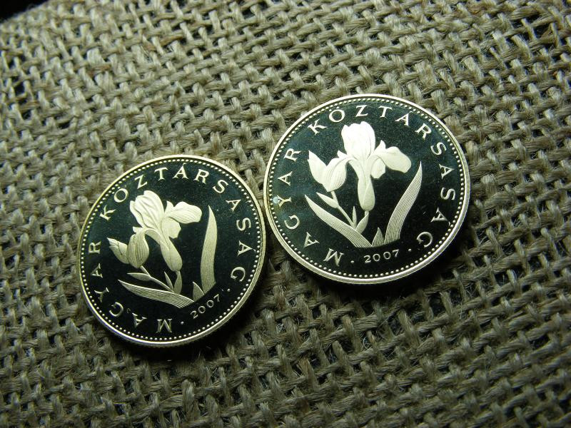 20 forintos érme, 2007, PP
