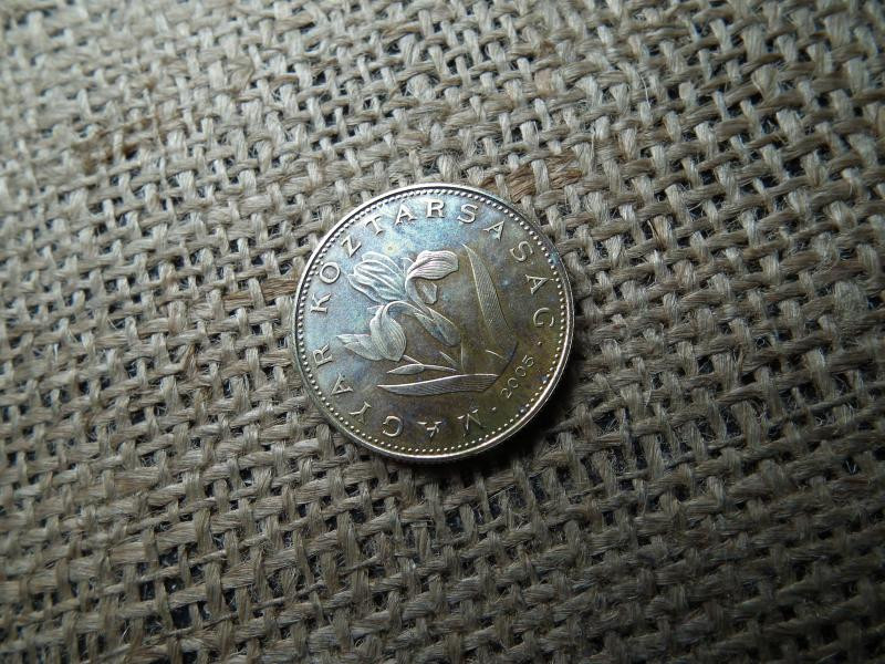 20 forintos érme, 2005, BU