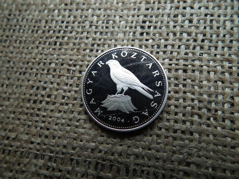 50 forintos érme, 2004, PP