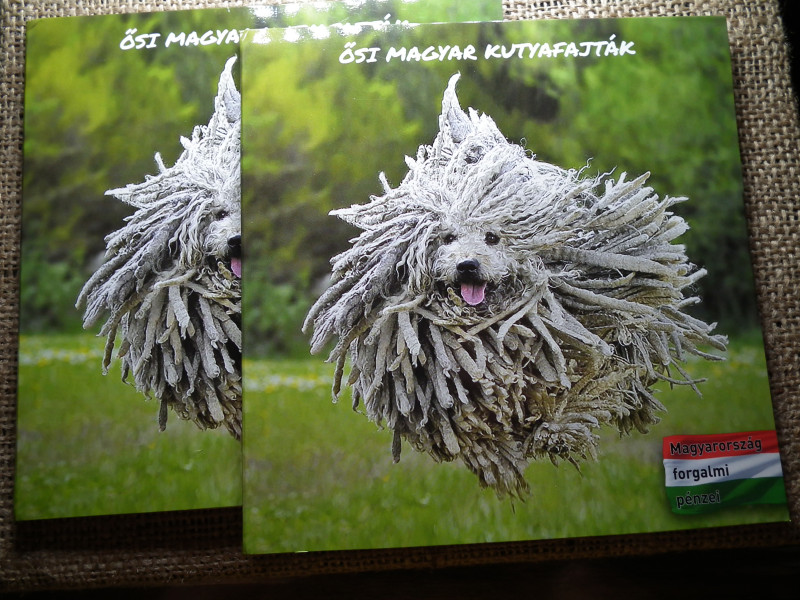 Ősi magyar kutyafajták forgalmi sor 2021 , ár / sor 