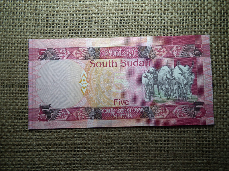 Szudán 5 pounds 2015 UNC  , C1