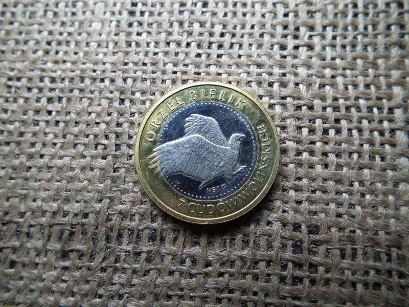 Lengyelország , 7  Cudów 2009 , Karkonoski nyírfajd - Jelenia Góra