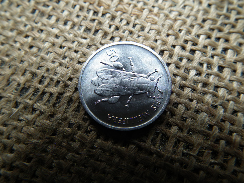 Szlovénia 50 Stotinov 1993 , verdefényes