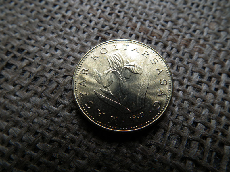 20 forint 1995 , verdefényes