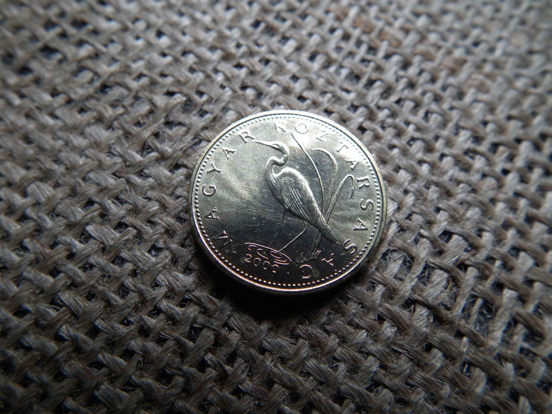 5 forint 2000 , verdefényes