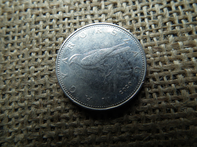 50 forint 2020 lebegő sólyom
