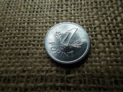 1 forint 1989 Sugaras , verdehibás , verdefényes  1 forint 1989 Sugaras , verdehibás , verdefényes