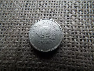 1 pound 2010 Gibraltár , II. Erzsébet neandervölgyi koponyája