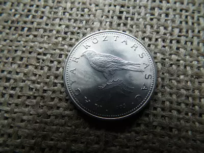 50 forint 1993 , részletszegény , R ! Extra ! 