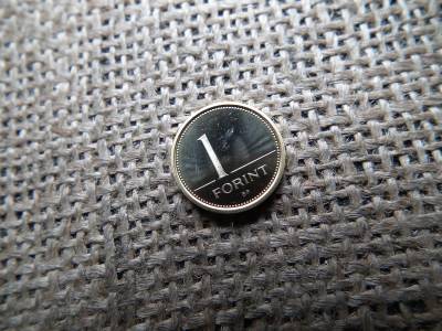 1 forint 2006 PP 1 forint 2006 PP