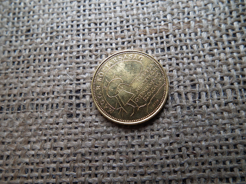 Aranyozott 50 forint 2005 , Gyermekmentő szolgálat 