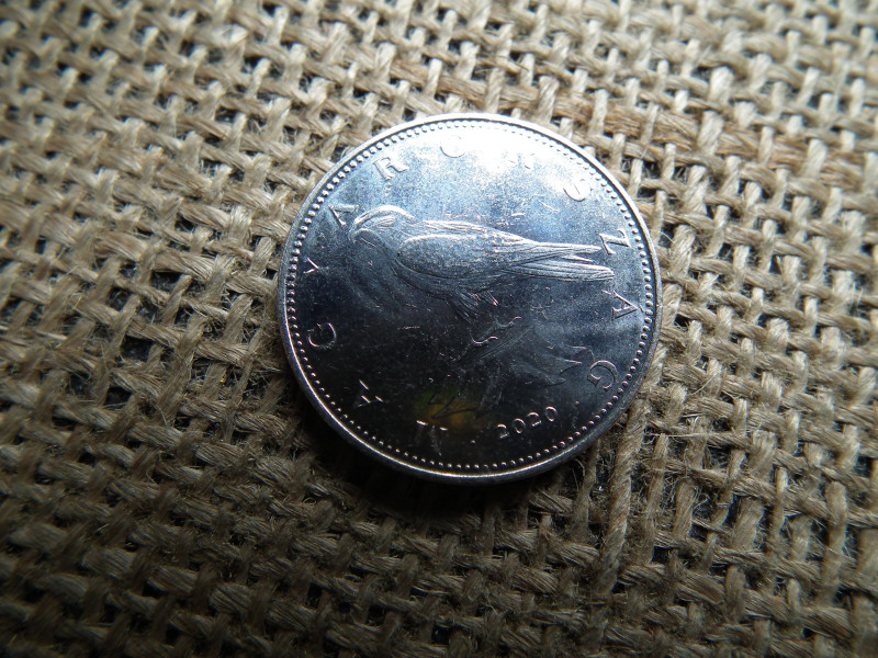 50 forint 2020 , lebegő sólyom , verdefényes  