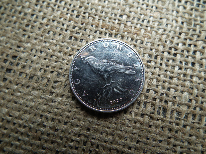 50 forint 2020 , lebegő sólyom , verdefényes  