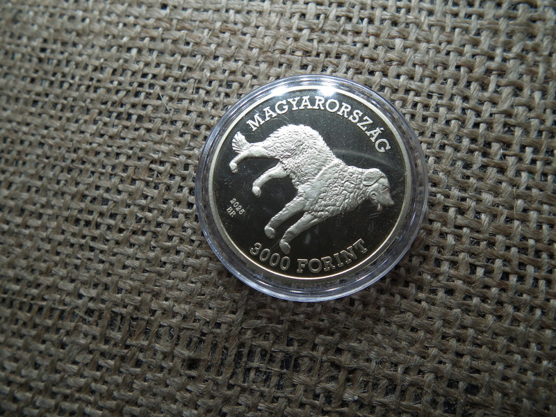 Magyarország, 3000 forint 2025 PP - Kuvasz UNC