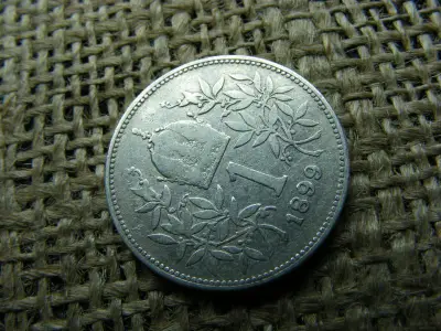 Ezüst 1 korona érme, 1899, Corona