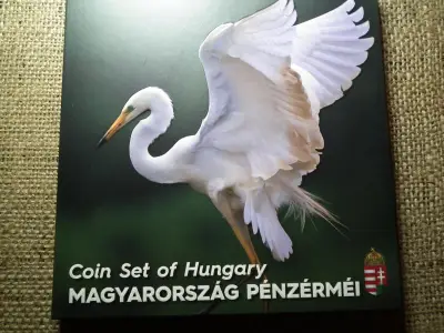 Dísztokos Forgalmi Sor, 2018, BU