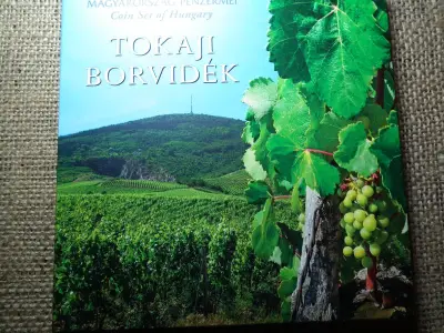 Dísztokos Forgalmi Sor, 2019, PP