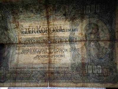 1000 korona bankjegy, 1920