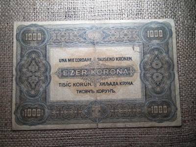 1000 korona bankjegy, 1920