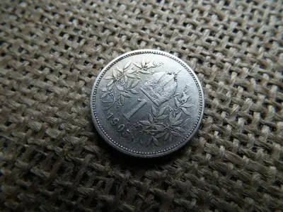 Ezüst 1 korona érme, 1905, Corona