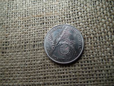 100 forint 1981 FAO BU 