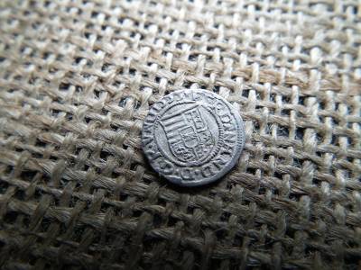 I. Ferdinánd ezüst dénár 1555  NC  , denár