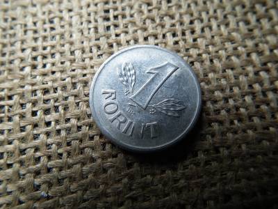 1 forint 1988 , verdehibás , sugaras !  Csillag sugarai nem érik el a búzakalászt