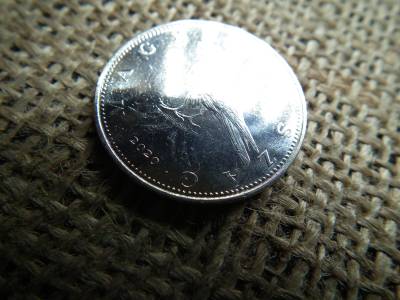 50 forint 2020 , lebegő sólyom , verdefényes  