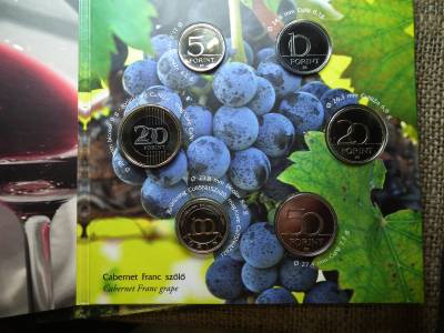 VILLÁNYI BORVIDÉK - 2020  FORGALMI SOR PP 