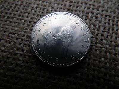 50 forint 1993 , részletszegény , R ! Extra ! 