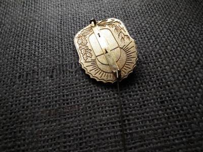 Vitézi rend , Vitézi Nagyjelvény , jelvény ! Eredeti , jelzett 